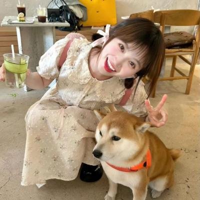 抢来的新娘